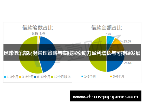 足球俱乐部财务管理策略与实践探索助力盈利增长与可持续发展